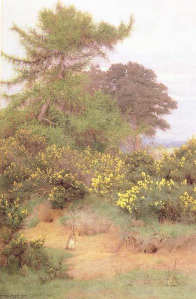 George Marks At the Edge of Shere Heath (mk46) Sweden oil painting art
